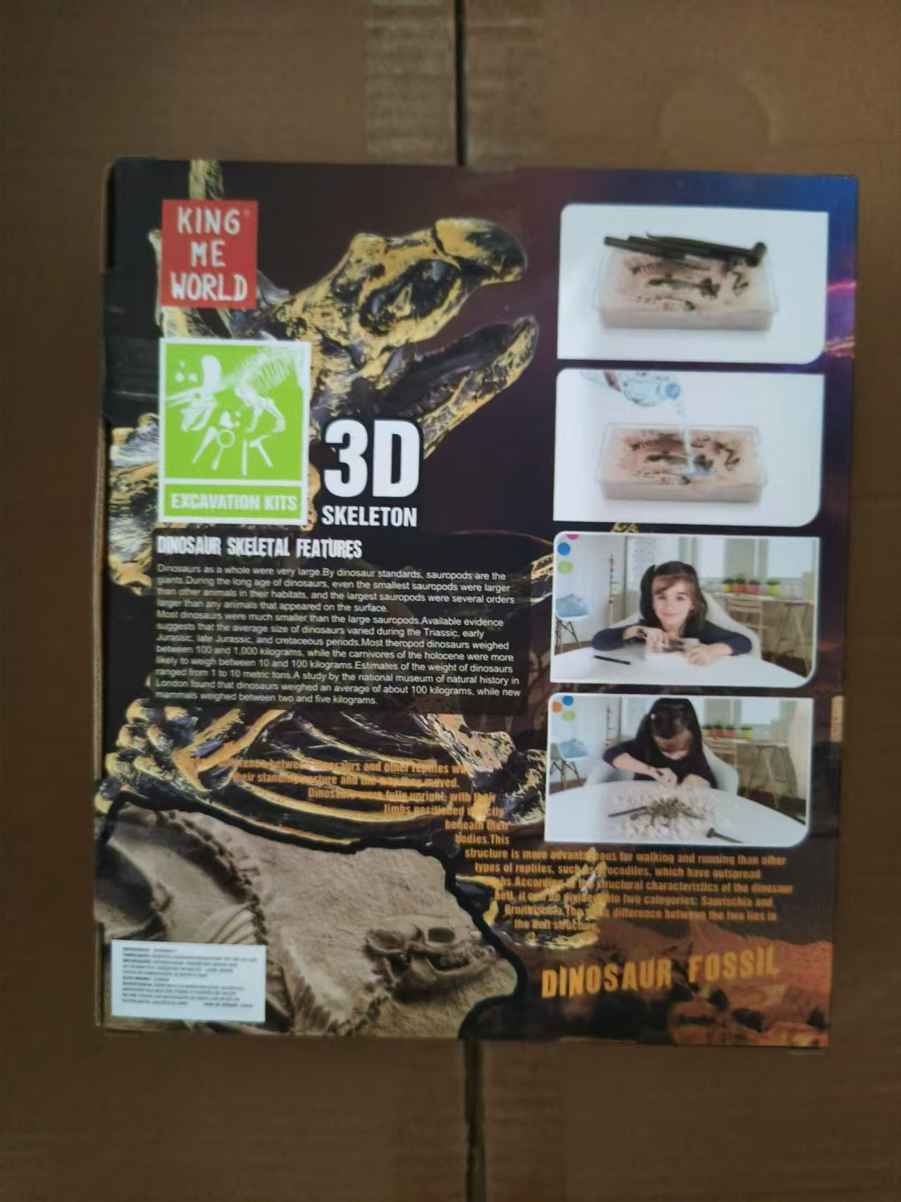 Juguete para Niños Escavación Arqueológica Dinosaurios
